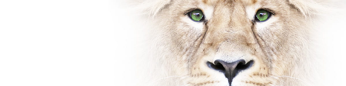 Liontrust - What we think