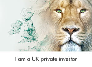 I am a UK private investor