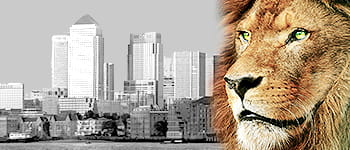 Investor relations | Liontrust Asset Management PLC