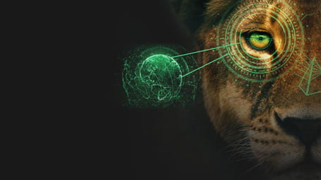Global Fixed Income