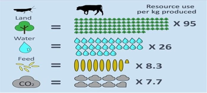 Comparing environmental resources needed