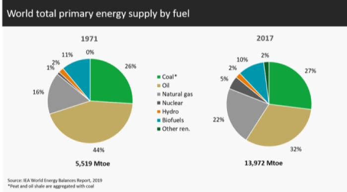 world total primary energy supply by fuel