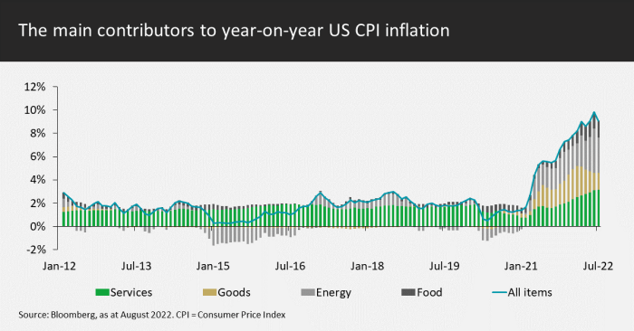 Contributors to YoY US CPI inflation