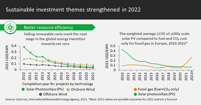 Sustainable Investment themes strengthened in 2022