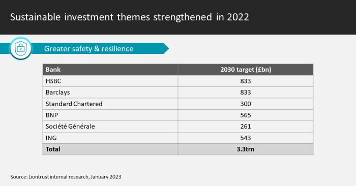 Sustainable investment themes strengthened in 2022
