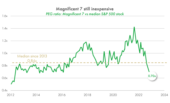 Magnificent 7 still expensive