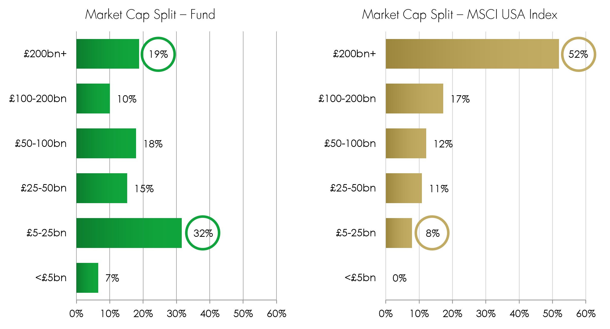 Flying the flagh for US smaller stocks