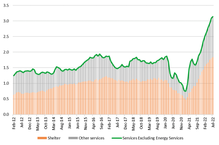 Services' contribution to YoY CPI