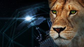 Investing in Liontrust