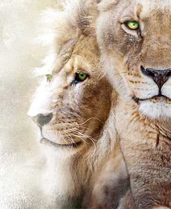 Case for investing in Liontrust
